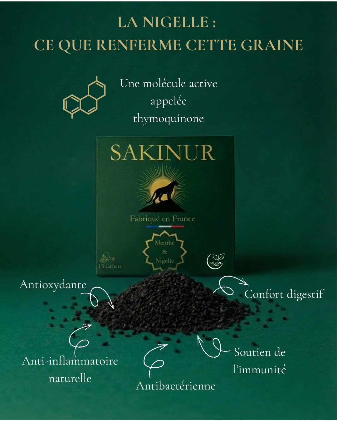 Confort digestif & équilibre intestinal