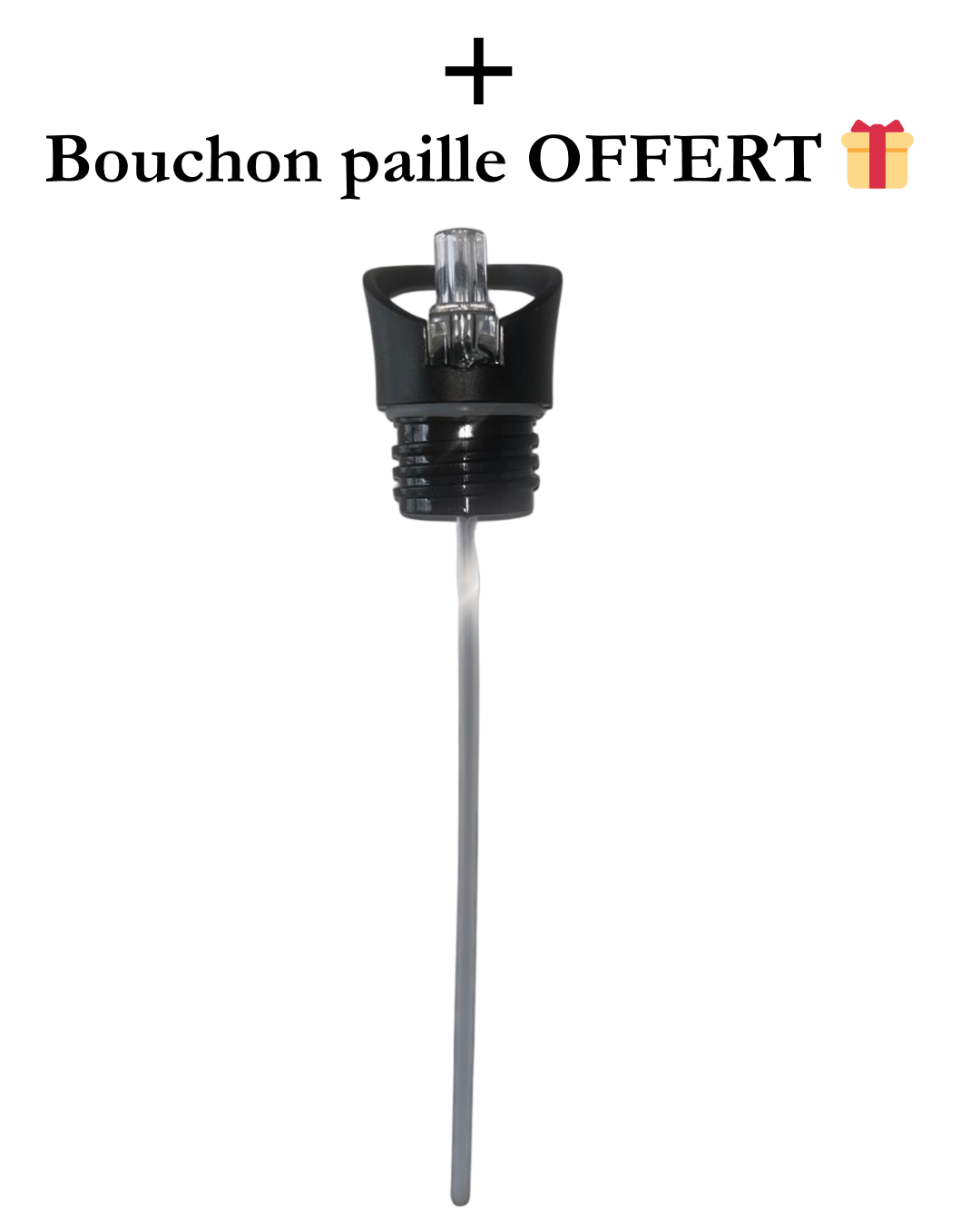 750 ml - Gourde Vibe Original - Isotherme + Bouchon sport OFFERT 🎁